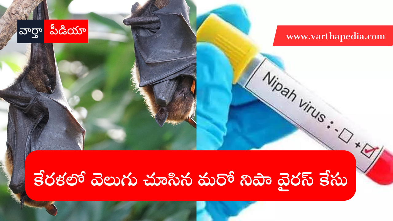 Nipah Virus case in Kerala